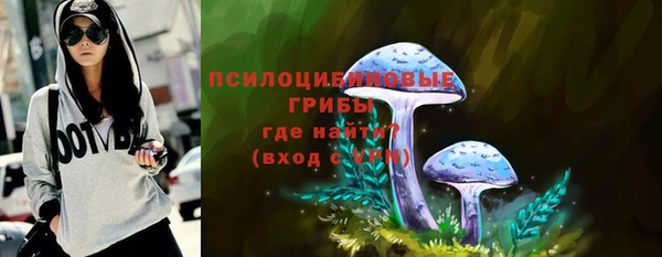 mix Пересвет