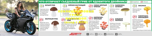 соль ск Пестово