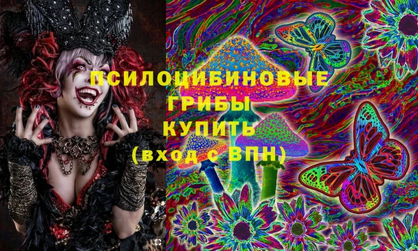 mix Пересвет